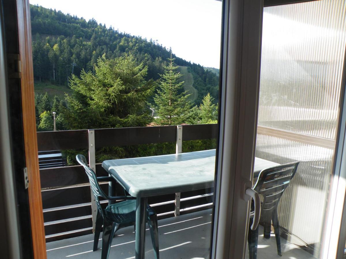 Appartement A La Montagne ,Vue Sur Les Pistes La Bresse Εξωτερικό φωτογραφία