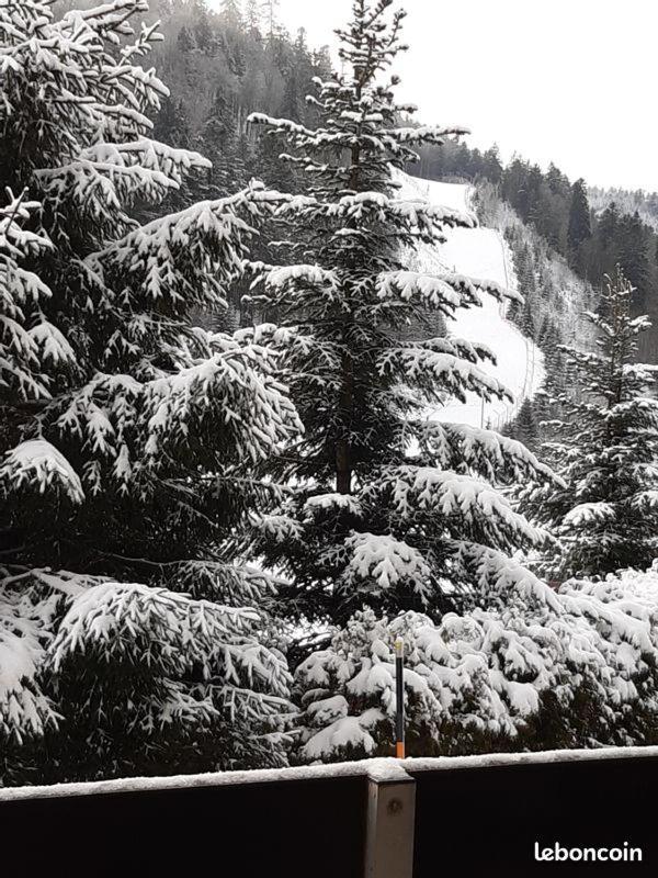 Appartement A La Montagne ,Vue Sur Les Pistes La Bresse Εξωτερικό φωτογραφία