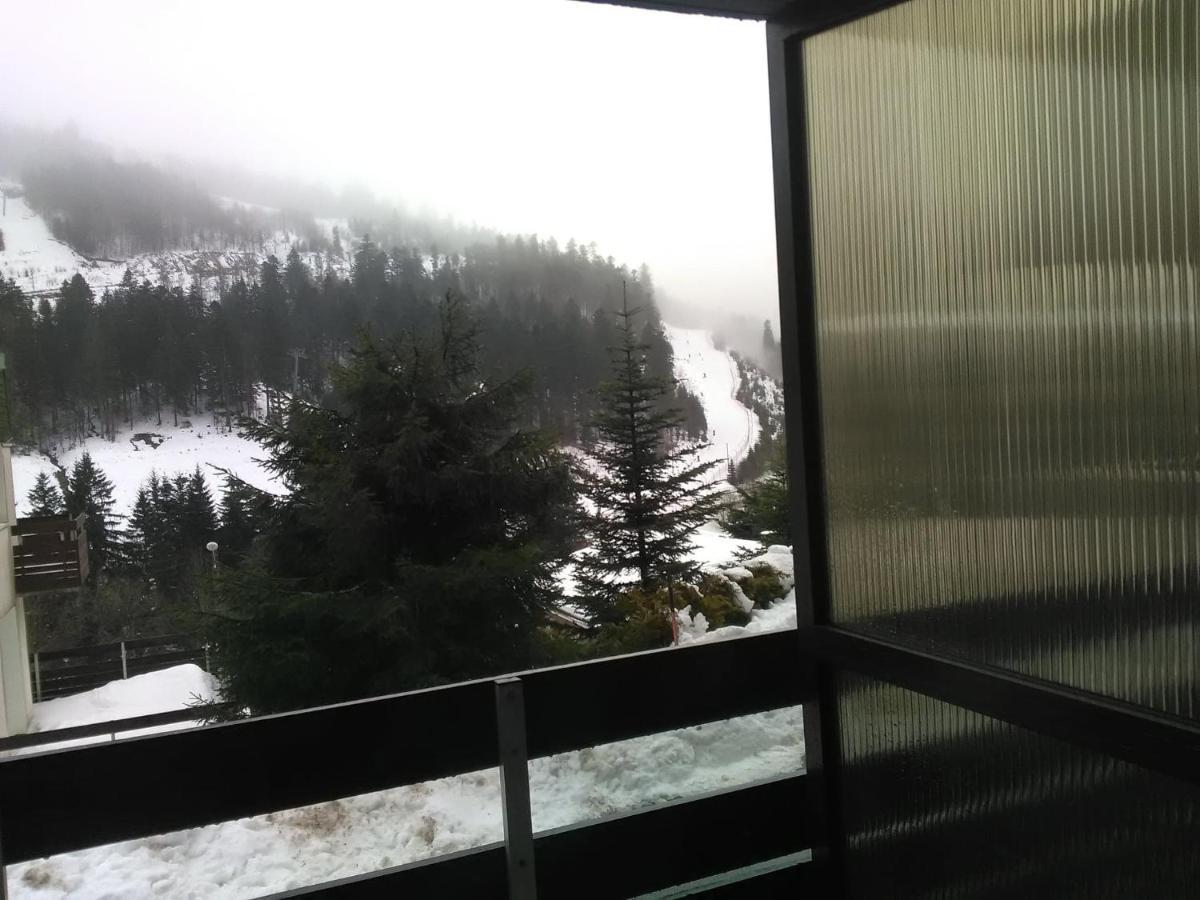 Appartement A La Montagne ,Vue Sur Les Pistes La Bresse Εξωτερικό φωτογραφία