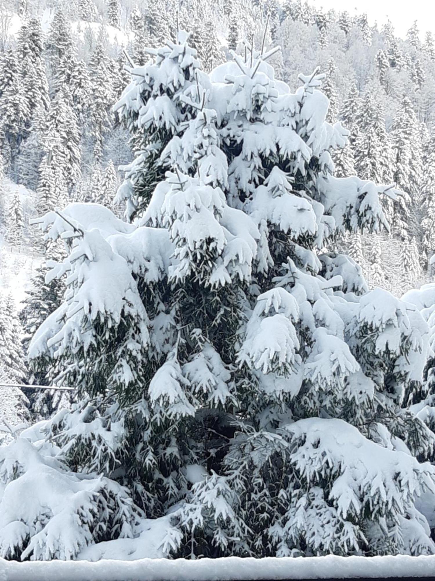 Appartement A La Montagne ,Vue Sur Les Pistes La Bresse Εξωτερικό φωτογραφία